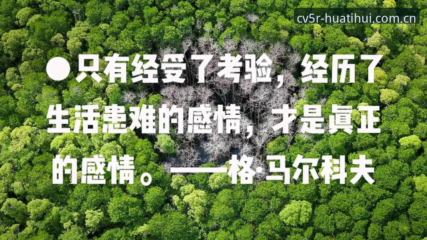 二零二四臻启 APP 登录手机版 揭秘友谊赛背后的“暗线”:劳塔罗扛旗之夜,阿根廷的真正考验在哪?